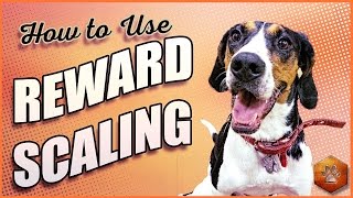How to Teach Your Dog to Listen Better with Reward Scaling!