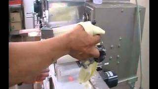 日本餃子小型生產線    合小型工場   small scale japanese dumpling machine line