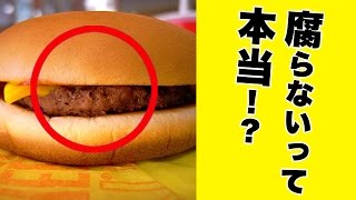 【都市伝説】マクドナルドのハンバーガーが腐らないは本当だった！？（驚きの結果が）