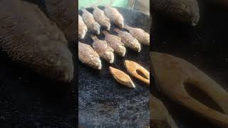 Manchanabele #trending #fish #manchanabeledam #virralshorts #food #manchanabele #viralvideo #fishing