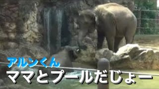 アルくん、朝からママとプールで水浴びだじょー　2024.07.02