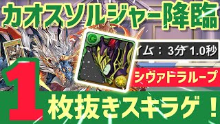 【パズドラ】カオスソルジャー降臨！1枚抜きスキラゲ！シヴァドラループ3分周回編成！