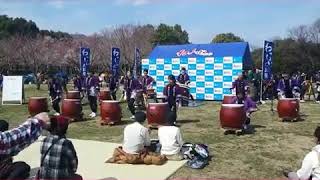 わっしょい太鼓祭り2018  桶狭間太鼓　「躍動」