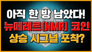 아직 한 방 남았다! 뉴메레르(NMR) 코인 상승 시그널 포착?! | 코인겟 코인분석