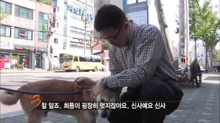 [HIT] 다큐멘터리 3일 - 센터의 개들이 가장 좋아하는 시간 '산책'.20150531