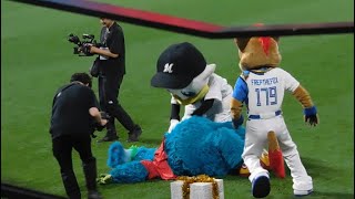 【出来レースがすぎる】セパマスコット対抗リレー対決