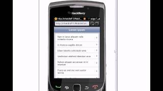 XPages Mobile Controls