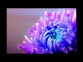 very peaceful reiki music 3 minute bells spiritual music