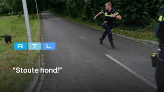 Ewout Genemans en agenten slaan op de vlucht voor agressieve rottweiler | Bureau Maastricht