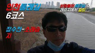 인천둘레길6코스 장수천 ~소래생태습지