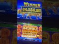 Biggest Bullrush win Australia #pokiewins #biggestwin #BullRush