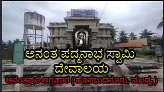 Anantha Padmanabha Swamy Temple | 12ನೇ ಶತಮಾನದ ಪುರಾತನ ದೇಗುಲ | #historical  #ananthapadmanabhaswamy