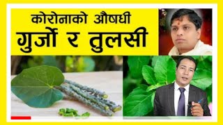 गुर्जो र तुल्सी कोरोनाको औषधि Acharya Balkrishna Latest top interview in Nepali by Suvash Basnet