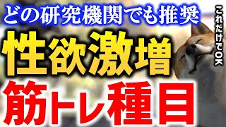 【彼女にすすめよう！】性欲激増する家でできる筋トレ｜モーニングドッグショー