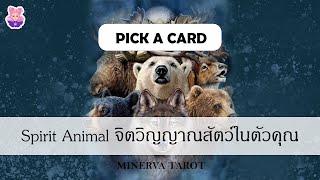 Pick a​ card Spirit Animal จิตวิญญาณสัตว์ในตัวคุณ : MinervaTarot  Ep 530