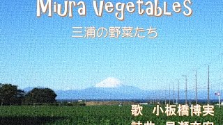 Miura Vegetables 三浦の野菜たち