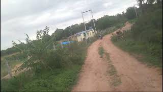 5 acres of land kunigal taluk is for sale for more details contact:-9964253128