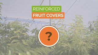 Q\u0026A 27 - What are the main advantages of the PP cord reinforcement for covering fruit trees?