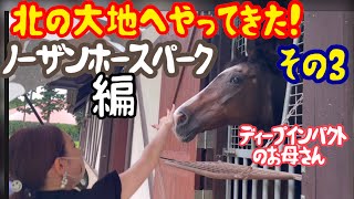 北海道の旅🐴その3『ノーザンホースパーク編』#北海道＃horse#ノーザンホースパーク