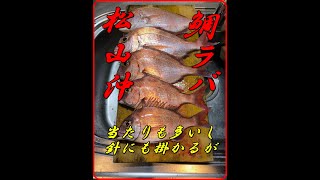 瀬戸内　タイラバ　久しぶりにガッツリ鯛ラバをやるとラッシュに突入したが・・・