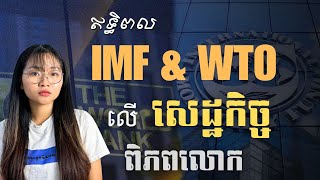 IMF \u0026 WTO មានឥទ្ធិពលលើសេដ្ឋកិច្ចសាកលបែបណា? | How Do IMF\u0026 WTO Impact the Global Economy? | JJTS  Ep72