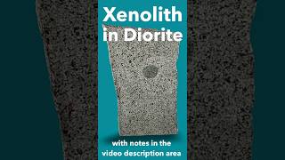 Igneous Xenolith in Diorite ID'd