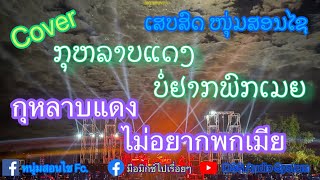 ກຸຫລາບແດງ - ບໍ່ຢາກພັກເມຍ - ແຄນ ທະວີສິນ แคน ทะวีสิน - ไม่อยากพกเมีย กุหลาบแดง