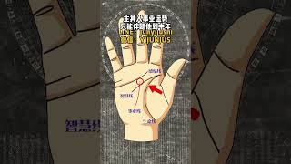 #palmistry #八字 #手相 #國學智慧