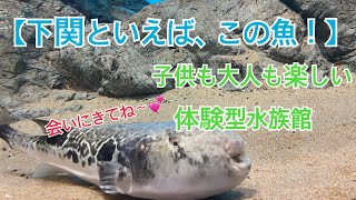 しものせき市立水族館　海響館ツアー