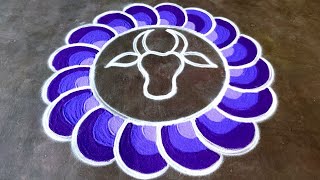 New maatu pongal kolam🌹/sankranti basavanna muggulu🌹/ThaiPongal maadu kolam🌹/super Amazingrangoli