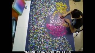 Clemens Habicht's 5000 Colors puzzle time lapse 5000片色階拼圖縮時攝影