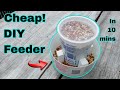 How to build 🔨 easy automatic pigeon feeder 🕊