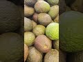 I Love Avocado #yutubeshorts #trending #fruits #delicious #shorts#asmr  #millionviews