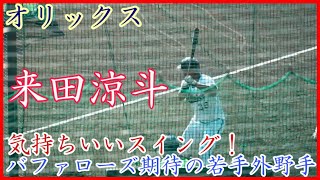 【秋季キャンプ】バファローズ期待の若手外野手！オリックス来田涼斗の打撃練習！