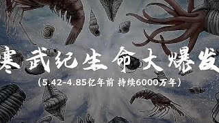 【02寒武纪】被古生物学家称作“寒武纪生命大爆发”，是显生宙的开始 #寒武纪#地球演化史#生物进化史 #古生物  #科普#百科 #知识 #知识分享#自然