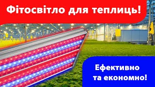 Освітлення для теплиці. Як підібрати фітолампи для рослин? Спочатку подивись це відео.