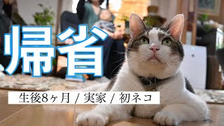 【育児vlog】はじめての帰省