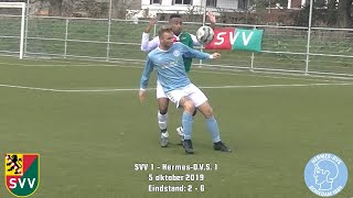 Samenvatting SVV 1 - Hermes-D.V.S.  1