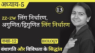 L-13, zz-zw लिंग निर्धारण, अगुणित/द्विगुणित लिंग निर्धारण | वंशागति और विविधता के सिद्धांत 12th Bio