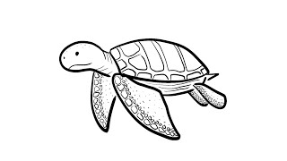 How to Draw a Simple Sea Turtle | Step-by-Step Lesson