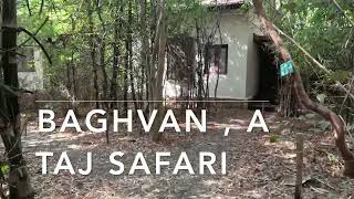 Baghvan, A Taj Safari - Pench National Park (Madhya Pradesh - India) - 4K