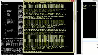 Ping Options and Utilities