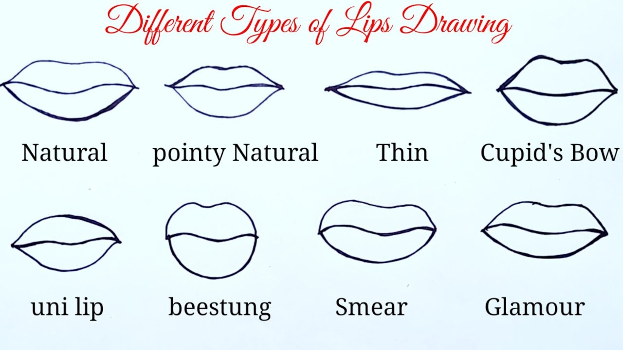 Diffe Types Of Lips Drawing Easy To Draw Infoupdate Org