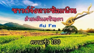 จังหวะซ้อมพิณ ลำเพลิน 2025 ความเร็ว 100 คีย์ Fm🌸(กลองโต๊ะๆเบสแน่นๆตึ้บ)💞