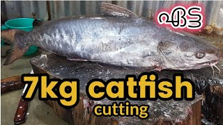 CATFISH CUTTING 7kg || കിടിലം ഏട്ട കട്ടിങ്  || Live fish cutting Munambam fish harbour