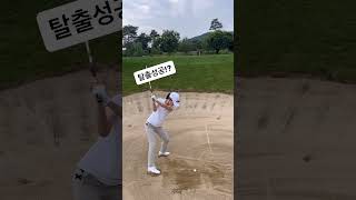 벙커샷은 요렇게🤩#shorts #golf #golfswing #골프스윙 #필드 #이쁜스윙