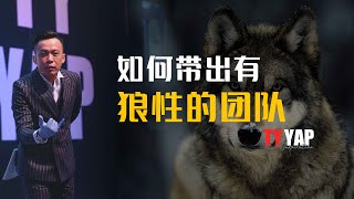 如何带出有狼性的团队 | 商业模式 | TYYAP