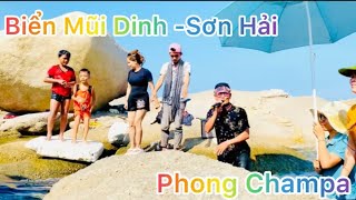 Một Trong những bãi biển đẹp của tỉnh Ninh Thuận Biển Mũi Dinh,Sơn Hải. Chuyến đi cùng gia đình 🥰