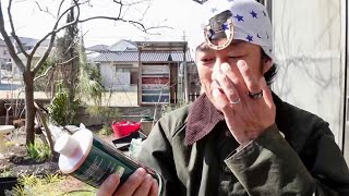 どやべぇ液体を手に入れたのでイチジクの挿木に使ってみた【園芸超人カーメン君】