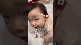 「え？」の一言で父を現実に連れ戻す1歳児#夫婦 #日常 #赤ちゃん #育児 #shorts